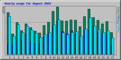 Hourly usage for August 2025