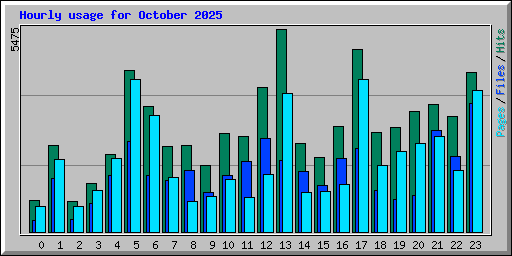 Hourly usage for October 2025