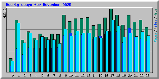 Hourly usage for November 2025