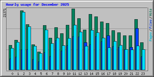 Hourly usage for December 2025