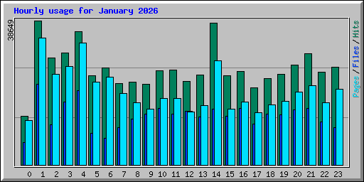 Hourly usage for January 2026