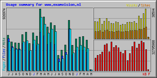Usage summary for www.examvision.nl