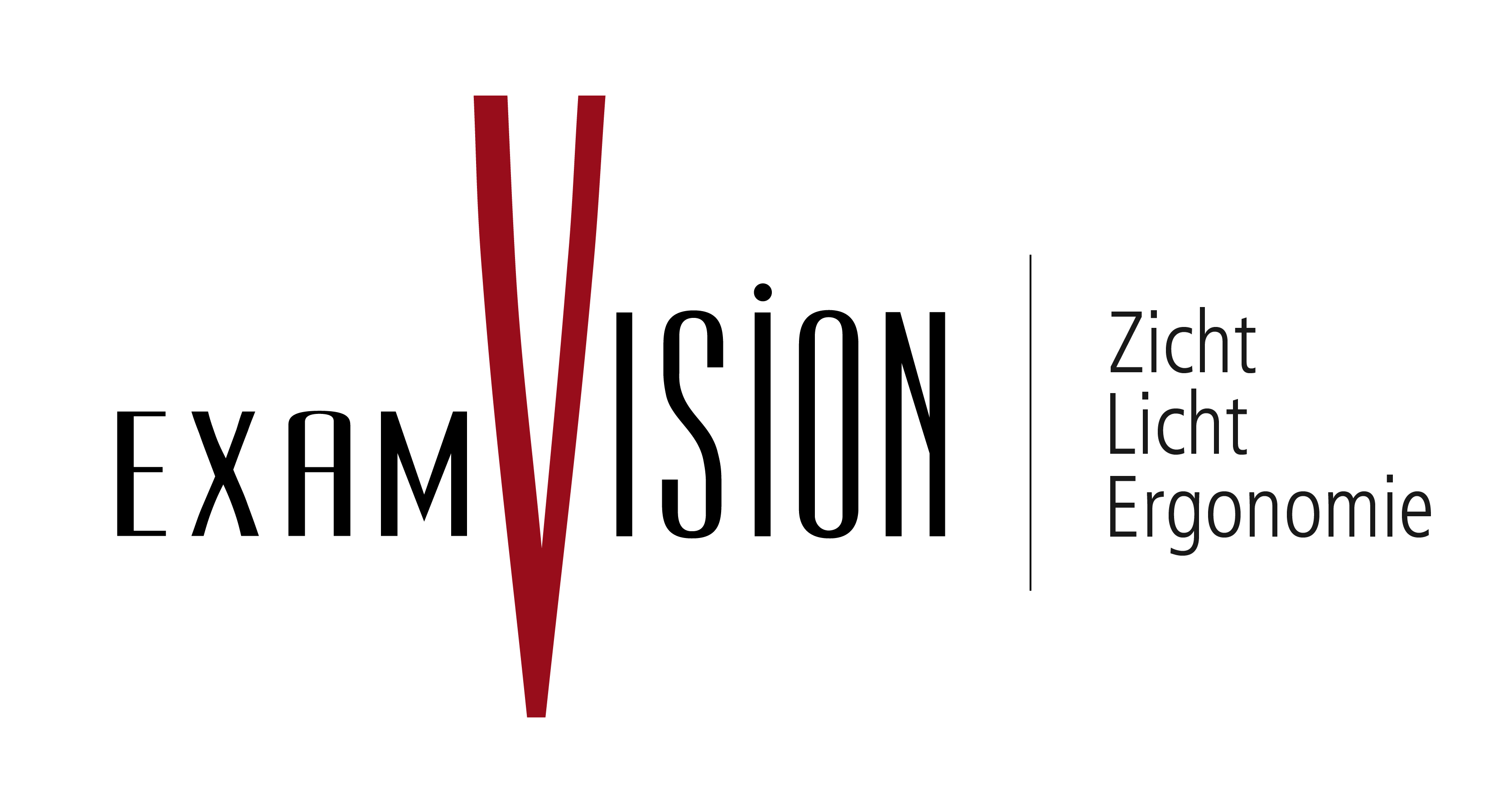 ExamVision Nederland logo