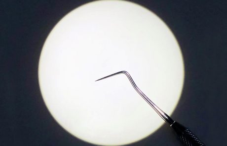 Focus™ Bright Light